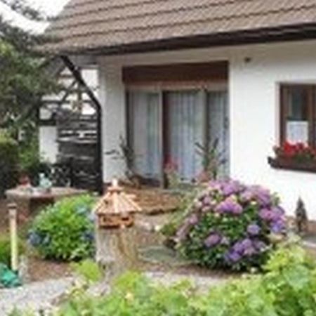 Pension Haus Monika Sasbachwalden Ngoại thất bức ảnh